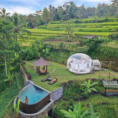 Hotel Romantic Bubble Dome Payangan Exterior foto