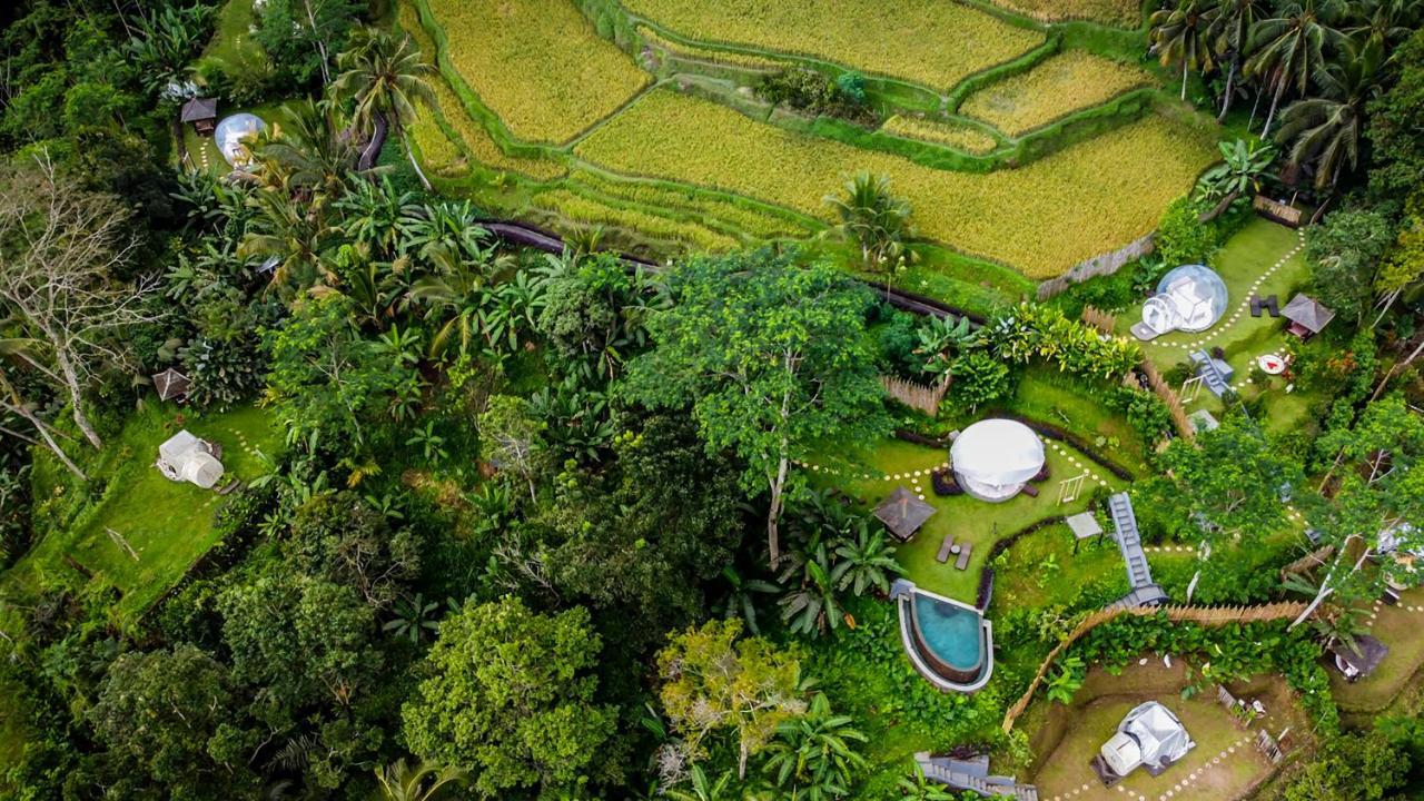 Hotel Romantic Bubble Dome Payangan Exterior foto