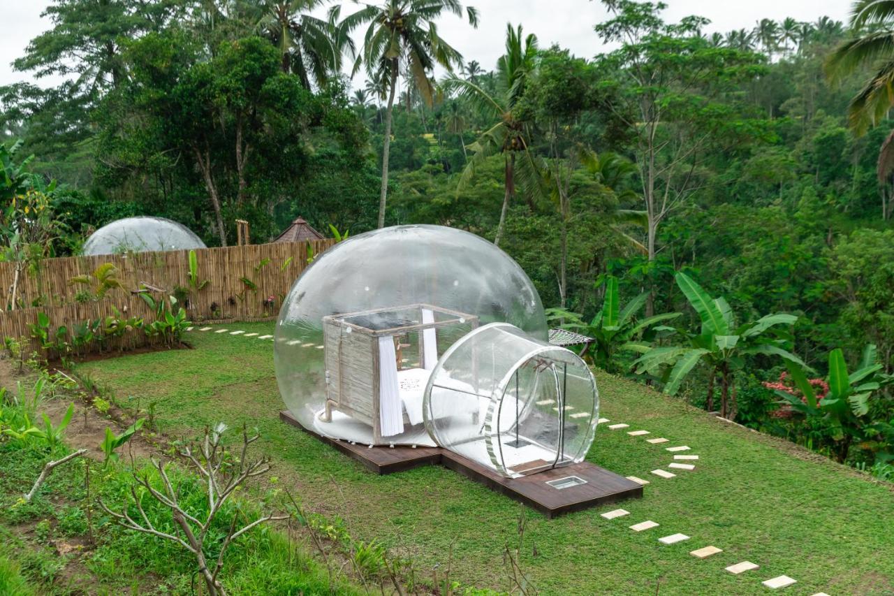 Hotel Romantic Bubble Dome Payangan Zimmer foto